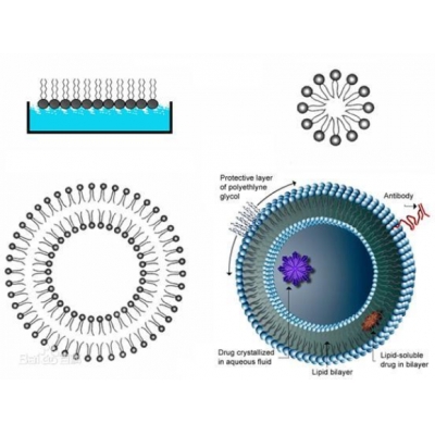 纳米脂质体